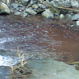 Bordighera: una lettrice "Stamattina il Rio Borghetto era colorato di rosso!"