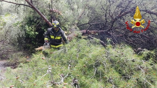 Maltempo sul Ponente: nessun danno grave, oltre 100 millimetri di pioggia a Borgomaro e torrenti in crescita Maltempo sul Ponente: nessun danno grave, oltre 100 millimetri di pioggia a Borgomaro e torrenti in crescita