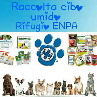 Sanremo: sabato prossimo i volontari dell'Enpa da Fortesan per raccogliere cibo ed antiparassitari Sanremo: sabato prossimo i volontari dell'Enpa da Fortesan per raccogliere cibo ed antiparassitari