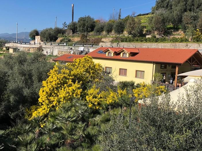 “Antichi Sapori” è un ristorante immerso nel verde, dove gustare piatti squisiti circondati dalla natura e da un ambiente cordiale “Antichi Sapori” è un ristorante immerso nel verde, dove gustare piatti squisiti circondati dalla natura e da un ambiente cordiale