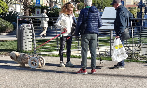 “Facciamo Piazza Pulita”, a Pian di Nave una mattinata per prendersi cura del mare e di Sanremo “Facciamo Piazza Pulita”, a Pian di Nave una mattinata per prendersi cura del mare e di Sanremo