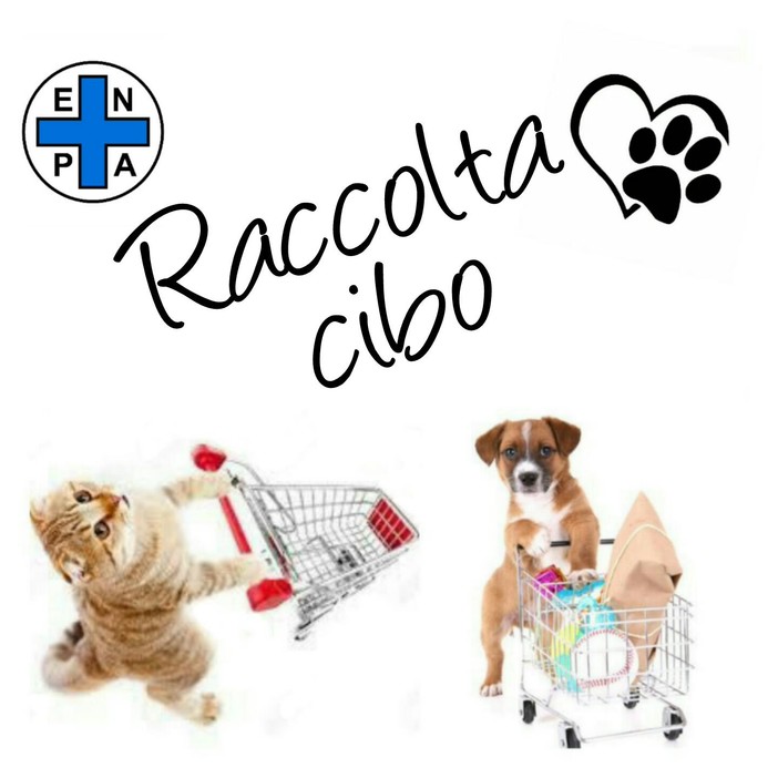 Sanremo: il rifugio Enpa ha bisogno di cibo per i suoi ospiti, i volontari sabato da Fortesan