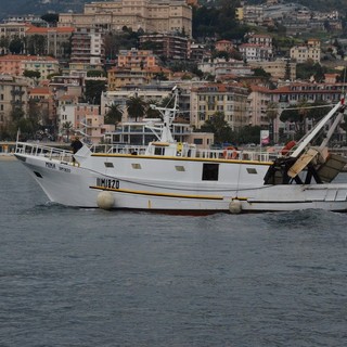 Pesca: l’Assessore Mai chiede incontro urgente ai Ministri Gentiloni e Martina sul trattato internazionale Pesca: l’Assessore Mai chiede incontro urgente ai Ministri Gentiloni e Martina sul trattato internazionale