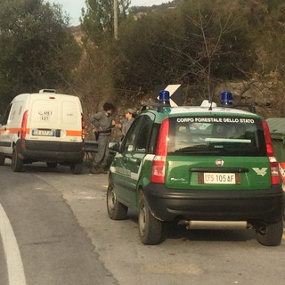 La Forestale e l'Asl sul luogo del ritrovamento