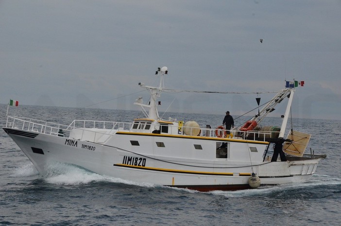Pesca a strascico in Liguria: giro d'affari che non supera i 12 milioni, intanto il Ministero lavora ad una soluzione