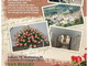 San Biagio della Cima: inaugurata Rose in Esposizione, Barbagallo &quot;Momento di vitalità e speranza&quot;
