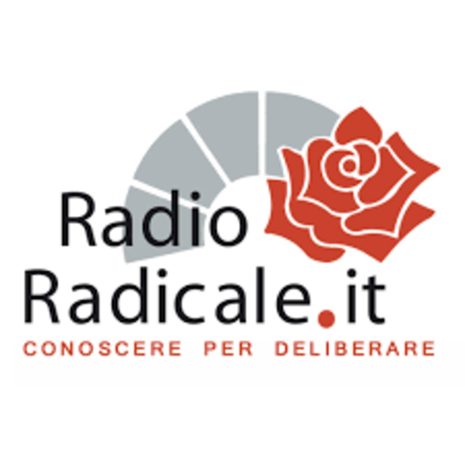Anche i Radicali del GRAF di Imperia all'odierna manifestazione pro Europa a ponte San Ludovico Anche i Radicali del GRAF di Imperia all'odierna manifestazione pro Europa a ponte San Ludovico