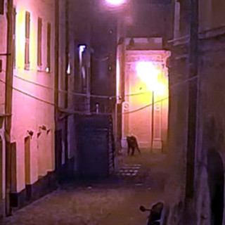 Sanremo: due rapine in centro durante lo scorso Festival, i malviventi scoperti con le immagini delle telecamere (Foto)