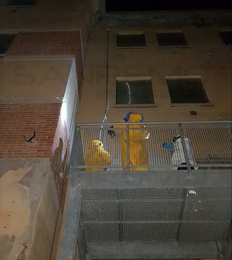 Taggia: nido di vespe 'velutine' sotto il tetto dell'Alberghiero alle ex Revelli, intervento della Protezione Civile (Foto)