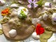 I ravioli con ripieno di malva e salsa di fave