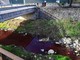 Bordighera: rio Borghetto colorato di rosso, la preoccupazione dei residenti e le foto che viaggiano sui social