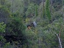 Ventimiglia: tragico incidente a Villatella, proseguono le indagini degli inquirenti e attesa per l'esito dell'autopsia Ventimiglia: tragico incidente a Villatella, proseguono le indagini degli inquirenti e attesa per l'esito dell'autopsia