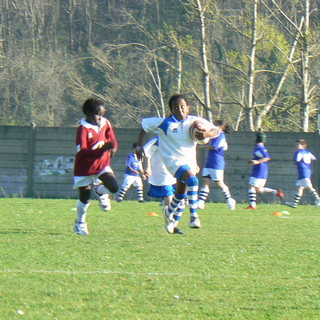 Importante trasferta al 'Trofeo Topolino' per i giovanissimi dell'Imperia Rugby Importante trasferta al 'Trofeo Topolino' per i giovanissimi dell'Imperia Rugby