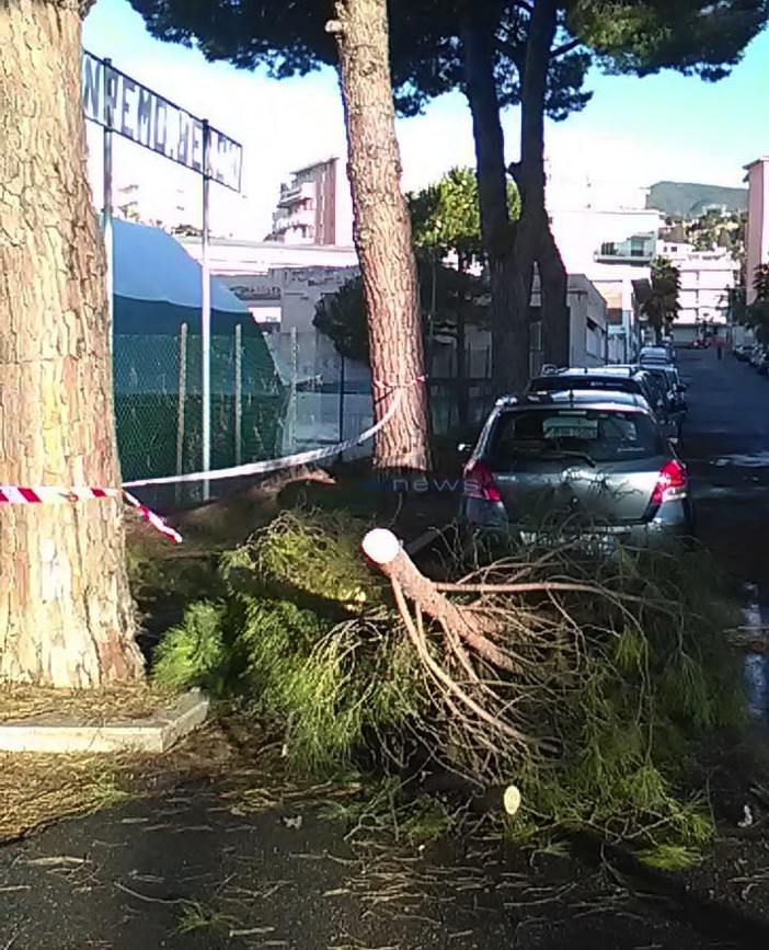 Le immagini da via Barabino Le immagini da via Barabino