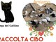 Taggia: con la 'Lega del Gattino' domani allo 'Spazio Conad' una raccolta di cibo per i gatti randagi