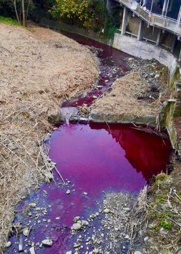 Le acque del Rio Latte colorate di rosso
