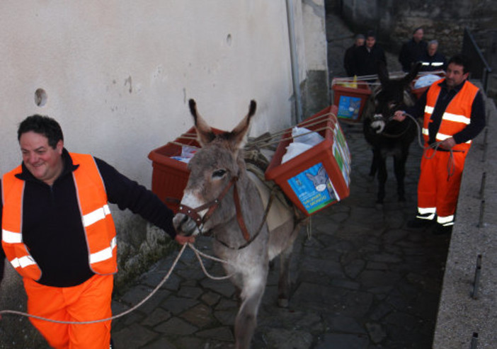Montalto: il Sindaco Lantrua conferma "Due asini in paese per la raccolta della differenziata"