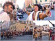 Taggia: grande festa in piazza IV Novembre per la rievocazione storica della battaglia del 1625 (foto e video)