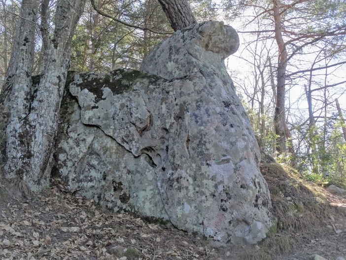 Perinaldo: nuova scoperta del gruppo 'ArcheoNervia', nel bosco una roccia raffigura un volto (Foto)