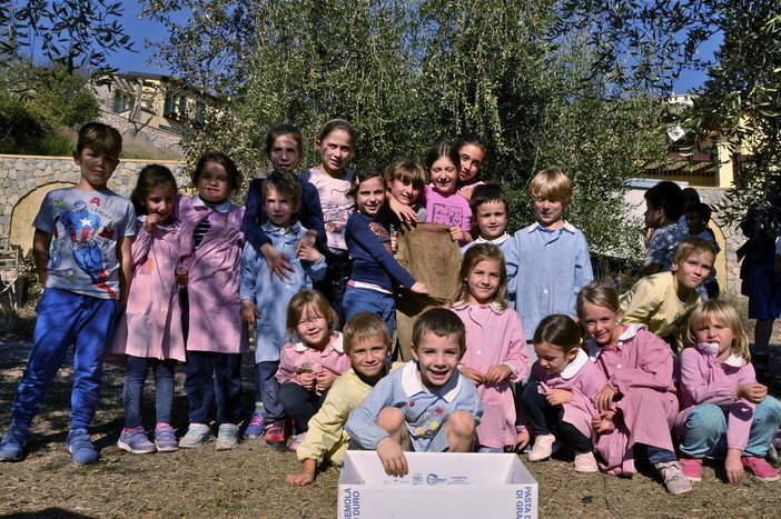 Sanremo: i ragazzi dell'Istituto “Calvino” scoprono il rito della raccolta delle olive (Foto)