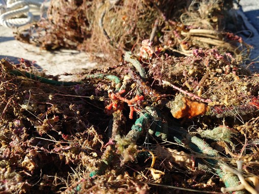 Una rete per il mare di Bordighera: campagna di crowdfunding per salvare Capo Sant’Ampelio Una rete per il mare di Bordighera: campagna di crowdfunding per salvare Capo Sant’Ampelio