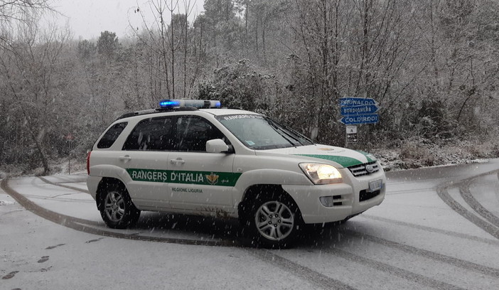 Sanremo: il bilancio di un anno per i Rangers d'Italia, oltre 400 servizi per un lavoro di 3.000 ore