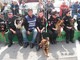 Domenica prossima la Lega del Cane organizza il ‘Raduno degli animali’ in piazza della Libertà Domenica prossima la Lega del Cane organizza il ‘Raduno degli animali’ in piazza della Libertà