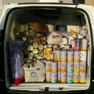 Arma di Taggia: tanta generosità dai clienti Fortesan, un furgone pieno di cibo per i cani del rifugio di Sanremo