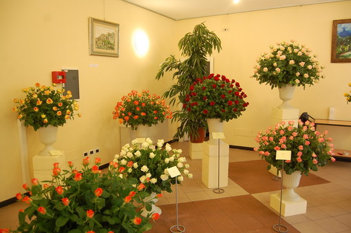 San Biagio della Cima: termina oggi la rassegna 'Rose in Esposizione', il programma