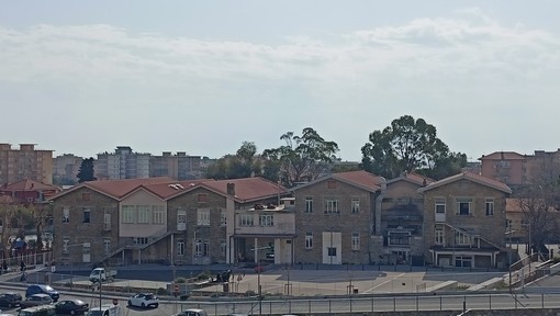 Api all'Andrea Doria di Vallecrosia, la scuola: "Il nostro intervento è stato tempestivo" Api all'Andrea Doria di Vallecrosia, la scuola: "Il nostro intervento è stato tempestivo"