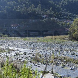 Siccità in Liguria, 170 segnalazioni di danni alle colture: al via le verifiche per la calamità naturale