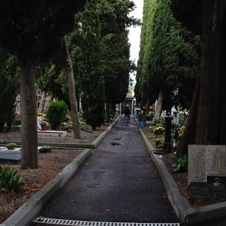 Sanremo: due alberi del Cimitero di Valle Armea a rischio caduta, saranno abbattuti a breve Sanremo: due alberi del Cimitero di Valle Armea a rischio caduta, saranno abbattuti a breve