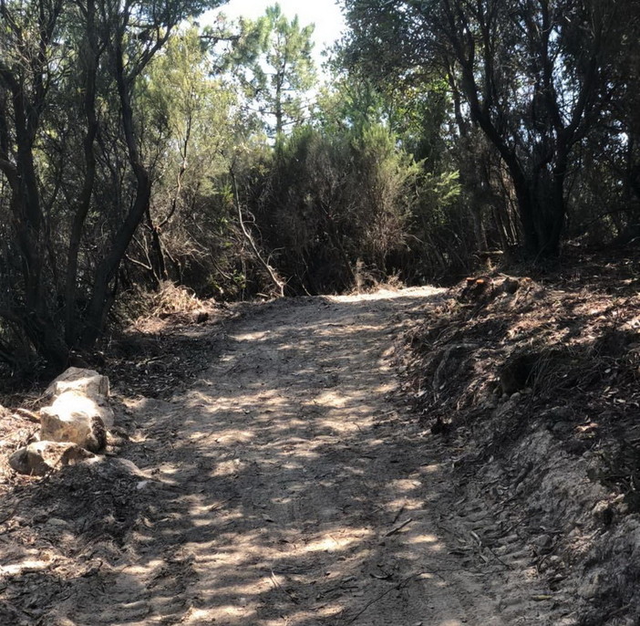 Sanremo: approvato il progetto ‘RivierALP’ per lo sviluppo del turismo sostenibile tra Liguria, Piemonte e Francia Sanremo: approvato il progetto ‘RivierALP’ per lo sviluppo del turismo sostenibile tra Liguria, Piemonte e Francia