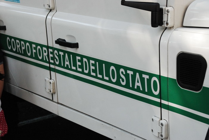 Pieve di Teco: uomo di 77 anni si perde mentre va per funghi, trovato dalla Forestale in 20 minuti