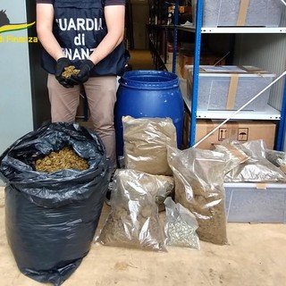 Operazione antidroga della Finanza: quattro arresti e sequestro di 'fumo' per oltre un milione di euro (Foto e Video) Operazione antidroga della Finanza: quattro arresti e sequestro di 'fumo' per oltre un milione di euro (Foto e Video)
