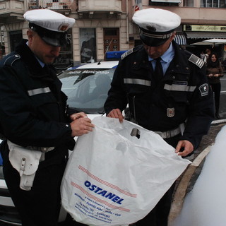 Sanremo: schiuma nello Zampillo, Ostanel "Noi ovviamente estranei alla vicenda!" Sanremo: schiuma nello Zampillo, Ostanel "Noi ovviamente estranei alla vicenda!"