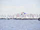 Vela: dal 1° al 2 luglio allo Yacht Club Sanremo, la Selezione Zonale Optimist