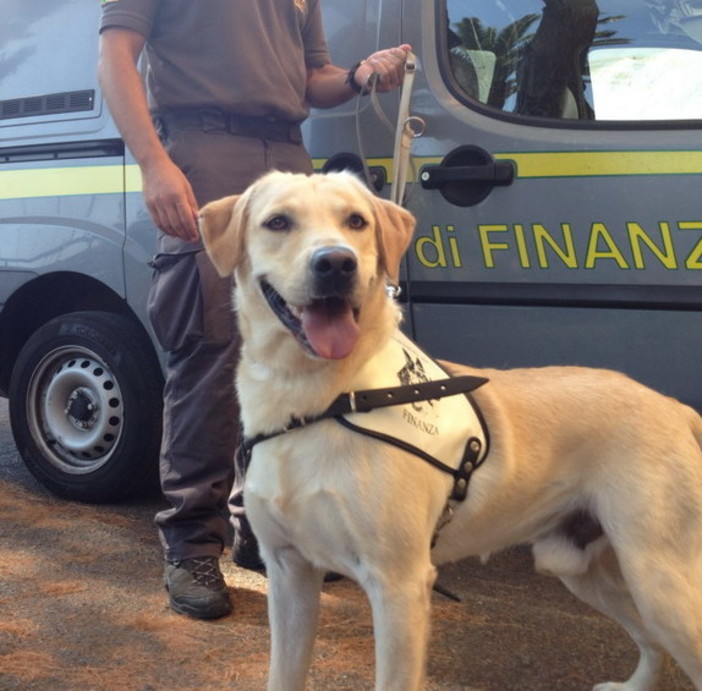 Ventimiglia: due 20enni su un Suv con 10 kg di 'coca', arrestati dalla Squadra Mobile di Imperia