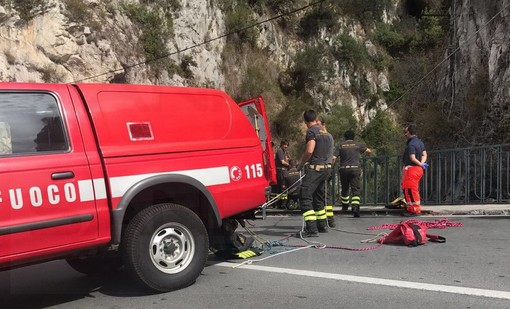 Ventimiglia: i Vigili del Fuoco del Saf hanno tratto in salvo i due cani dispersi sul monte Grammondo