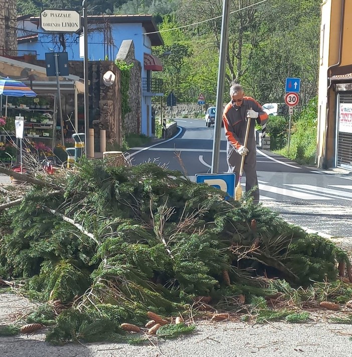 Ad Olivetta San Michele il Sindaco Biancheri mette la tuta da operaio e fa il 'boccia' (Foto) Ad Olivetta San Michele il Sindaco Biancheri mette la tuta da operaio e fa il 'boccia' (Foto)
