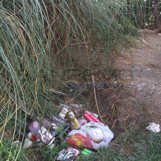 La spazzatura abbandonata nei giardini del lungomare Calvino
