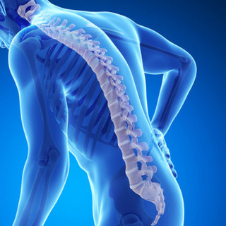 Stop all'osteoporosi: domani da SanremoBio il test di densitometria ossea con la consulenza del Centro Medicina Naturale Stop all'osteoporosi: domani da SanremoBio il test di densitometria ossea con la consulenza del Centro Medicina Naturale