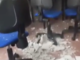Taggia: crolla controsoffitto nell'aula computer dove c'era lezione con i ragazzi dell'Alberghiero, IL VIDEO