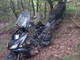 Due scooter abbandonati nel bosco da anni a Gouta: oggi l'intervento della Polizia Provinciale (Foto) Due scooter abbandonati nel bosco da anni a Gouta: oggi l'intervento della Polizia Provinciale (Foto)