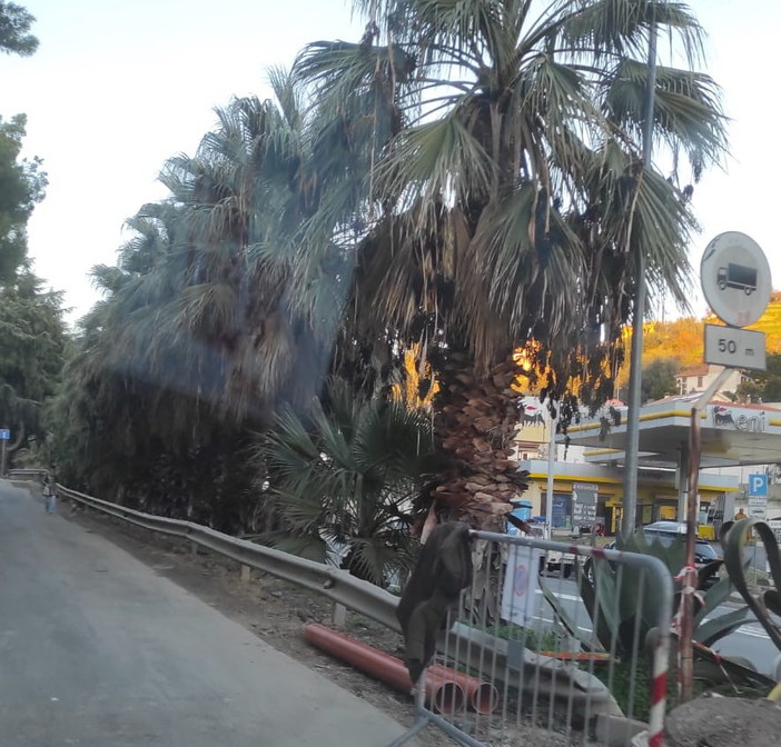Sanremo: lavori tra via Lamarmora e via Duca, un lettore chiede la costruzione di un marciapiede Sanremo: lavori tra via Lamarmora e via Duca, un lettore chiede la costruzione di un marciapiede