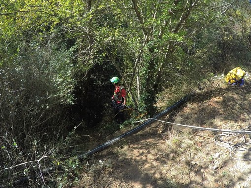 Tragedia di Apricale: Sinistra Italiana "E' urgente porre regole precise per la caccia" Tragedia di Apricale: Sinistra Italiana "E' urgente porre regole precise per la caccia"