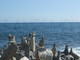 Sanremo: 'Stonehenge' alla foce del San Martino, lettore "Si possono trovare anche in montagna" Sanremo: 'Stonehenge' alla foce del San Martino, lettore "Si possono trovare anche in montagna"