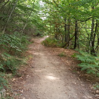 Il 1° maggio con il Club Marathon Imperia una giornata all'aria aperta tra passeggiate e natura Il 1° maggio con il Club Marathon Imperia una giornata all'aria aperta tra passeggiate e natura