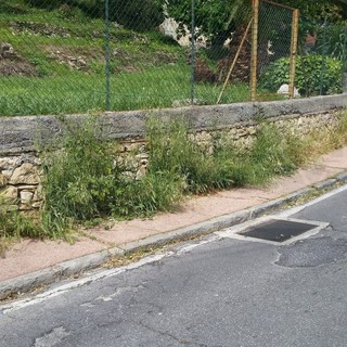 Lavori di sfalcio delle strade nell'ultimo weekend con l'associazione 'Cittadini attivi per Camporosso' Lavori di sfalcio delle strade nell'ultimo weekend con l'associazione 'Cittadini attivi per Camporosso'