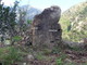 Il gruppo ricerche Archeonervia annuncia la scoperta di un menhir nei pressi di Colla bassa frazione di Ventimiglia Il gruppo ricerche Archeonervia annuncia la scoperta di un menhir nei pressi di Colla bassa frazione di Ventimiglia